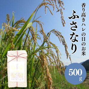  m  ` ӂȂ 500g Ƃ   N Mtg v`Mtg v[g EGfBO a j Ԃ   o uC_  R Hi 