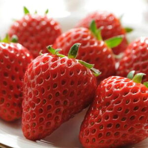   C`S gق ׂɂق c ґȊÂƑ傫̔C`S ̔ ʔ 