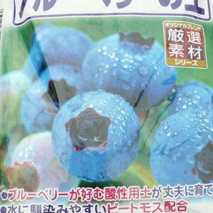 Ԃ u[x[̓y 5L bg u[x[̐AւɍœK yK[fjO@pyz