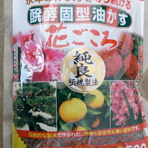 엿cʎcAVsW[AԖ؂ɍvɁIyԂEyŌ^E500gzy엿z