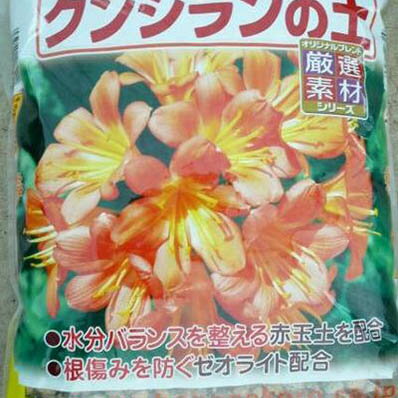 楽天市場 クンシラン オモトの植え替えに最適 花ごころ クンシランの土 ５l 用土 母の日 花 ガーデニング岐阜緑園