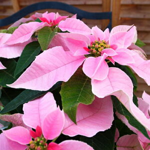 vZ`A@sNzCg5A {[_//NX}X/|CZ`A /Tg[J/Mtg/v[g/̔/ʔ/