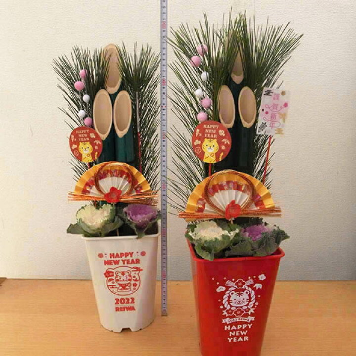 楽天市場】ミニ門松 6号サイズ 鉢植え 葉牡丹 ハボタン お正月飾りにかどまつ カドマツ 洋風な玄関にも似合う ミニ門松 寄せ植え 販売 通販 種類 : 母の日 花 ガーデニング岐阜緑園 楽天市場】ミニ門松 6号サイズ 鉢植え 葉牡丹 ハボタン お正月飾りにかどまつ カドマツ 洋風な玄関にも似合う ミニ門松 寄せ植え 販売 通販 種類 : 母の日 花 ガーデニング岐阜緑園