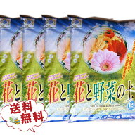 花と野菜の培養土12Lを4袋セット 福袋 送料無料 オリジナル用土の培養土 Compost ばいようど 用土 培養土…
