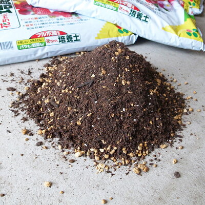 楽天市場 花ちゃん培養土 12ｌ 用土 販売 通販 種類 バイヨウド つち 土 母の日 花 ガーデニング岐阜緑園