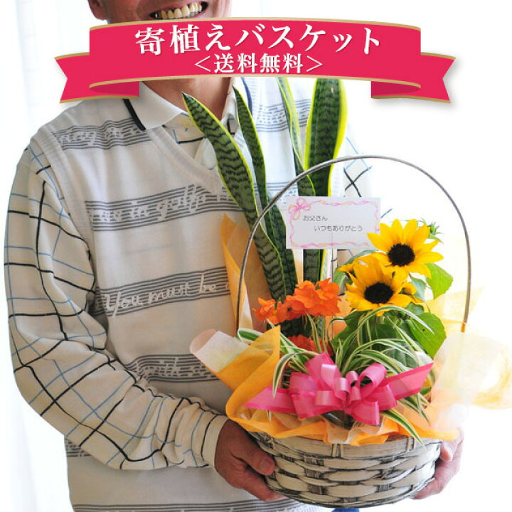 楽天市場 父の日フラワー ギフト 送料無料 父の日ギフト 花 早割 寄植えバスケット ラッピングとメッセージカード無料 観葉植物 父の日 ギフト プレゼント ランキング 22 花 寄せ植え フラワー 母の日 花 ガーデニング岐阜緑園 楽天市場 父の日フラワー ギフト 送料無料 父の日ギフト 花 早割 寄植えバスケット ラッピングとメッセージカード無料 観葉植物 父の日 ギフト プレゼント ランキング 22 花 寄せ植え フラワー 母の日 花 ガーデニング岐阜緑園