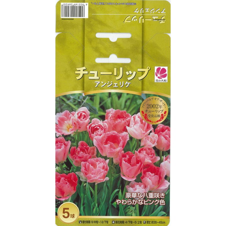 楽天市場 チューリップ 球根 人気チューリップ アンジェリケ 5球セット 母の日 花 ガーデニング岐阜緑園