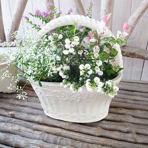 tFfN[A[` GF3434 yʁAϊOXt@[o[eRb^ 26×17.5×14i28jZ`H ꌊ6c̊񂹐AɓK܂