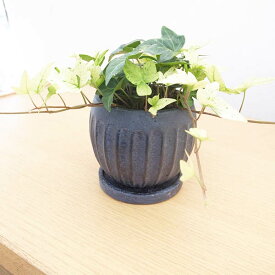 テラコッタ ルントサークルMB 受け皿付 TD348 観葉植物の小鉢に最適 11.5φ×10センチH　底穴あり 3号サイズのポット苗を入れて飾るのに最適です