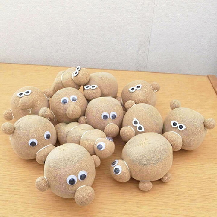 楽天市場】のびのびーくん おまかせ2個セット : 母の日 花 