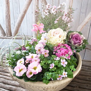  pXeorAeB[N  tOn{^AW񂹐A10ZbgyAzyԕczK[fjO ̔ ʔ 