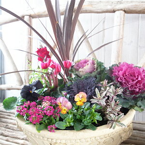  pXeorAeB[N  tOn{^AW񂹐A10ZbgyAzyԕczK[fjO ̔ ʔ 