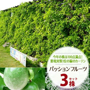 3���Z�b�g �p�b�V�����t���[�c�c �΂̃J�[�e�� �O���[���J�[�e�� ���v�� �Ă̐ߓd�΍�� �g�P�C�\�E ���悯 3���T�C�Y����3.5���T�C�Y