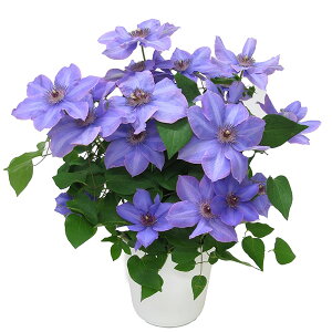 Iׂ N}`X 5TCY A ̓ v[g {[_   ̓Mtgt[  A Mtg̓  ̓ 2025N