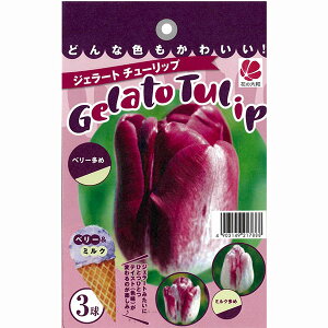 WF[g`[bv x[~N 3Zbg ԐFω