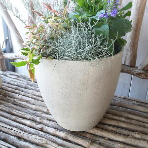 eB[W MS1362 y eRb^ 28×27Z`H ꌊ