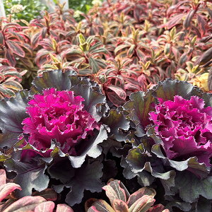 tO n{^ t@[XgfB 3.5TCY c