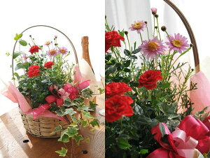 ̓̓  t[ 񂹐A AW t[ av[g  Ԃӂ[ G߂̊񂹐At[Mtg  Flower gift Mtg 񂶂傤уv[g ͂ Ղꂺ 