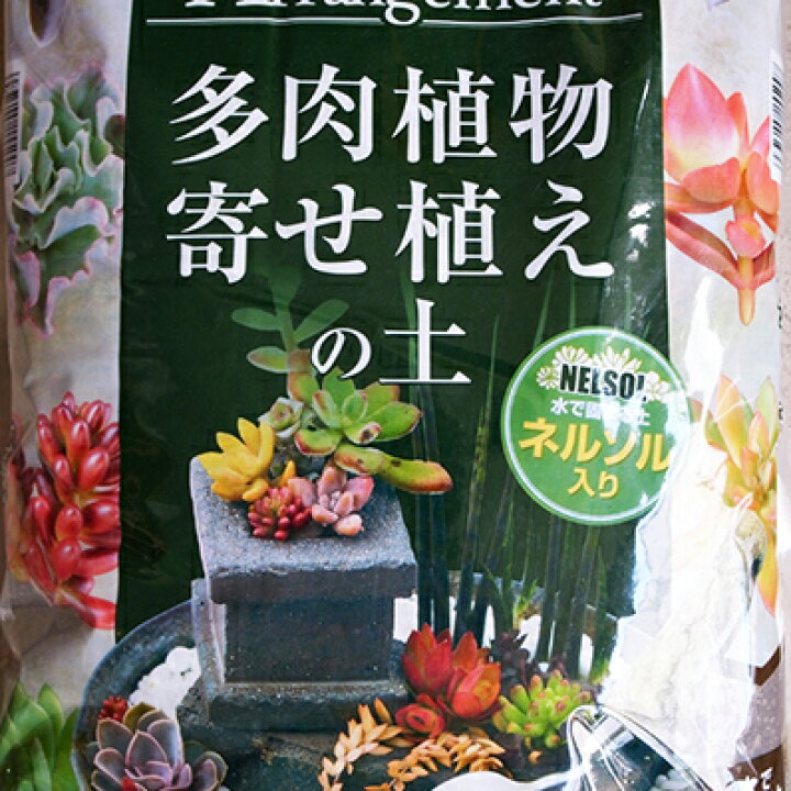 楽天市場 花ごころ 多肉植物 寄せ植えの土 5l リットル 培養土 ガーデニング 母の日 花 ガーデニング岐阜緑園