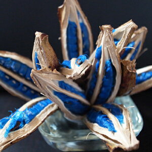 �󏭕i �^�r�r�g�m�L�m�^�l ������ �ϗt�A����h���C�t�����[�Ƒ������ǂ��C���e���A�I�u�W�F��