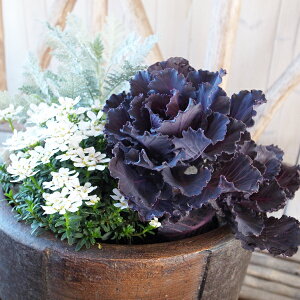  n{^ ubN[t c  tO A 3.5TCỸ|bgc N