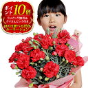 【ぬいぐるみピック無し】遅れてごめんね 母の日 カーネーション 赤 レッド ピンク さくらもなか オレンジ パープル イエロー エクレアなど鉢植え 選べる16色...