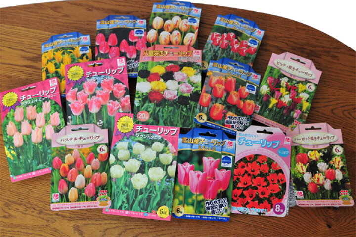 楽天市場 福袋 送料無料 チューリップ球根70球セット 福袋 球根 チューリップ チューリップ 球根 プレゼント 球根 花 誕生日 お歳暮 クリスマス 種類 植え替え オランダ 富山産 販売 通販 種類 母の日 花 ガーデニング岐阜緑園 楽天市場 福袋 送料無料 チューリップ球根70球セット 福袋 球根 チューリップ チューリップ 球根 プレゼント 球根 花 誕生日 お歳暮 クリスマス 種類 植え替え オランダ 富山産 販売 通販 種類 母の日 花 ガーデニング岐阜緑園