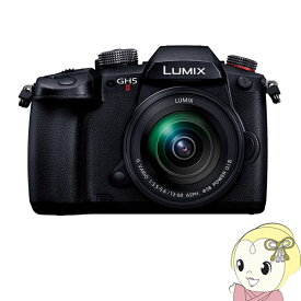 【期間限定クーポン発行 6/4 20時~6/5中迄】Panasonic パナソニック LUMIX Gシリーズ ミラーレス 一眼カメラ DC-GH5M2M 標準ズームレンズキット【KK9N0D18P】