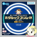【6/10は期間限定クーポン発行】【在庫あり】旧NEC ホタルクス ホタルックスリムアルファ27形+34形　スリム丸型蛍光灯（FHC）・昼光色相当 FHC86EDF-SHG-A2【KK9N0D18P】