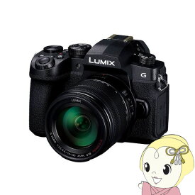 カメラレンズキット パナソニック ミラーレス一眼カメラ LUMIX DC-G99DH 標準ズームレンズキット DC-G99DH-K【KK9N0D18P】