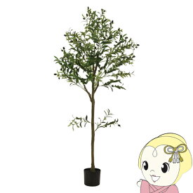 【5/25限定 最大4000円OFFクーポン発行】観葉植物 フェイクグリーン オリーブ おしゃれ 150cm ジョイント【KK9N0D18P】