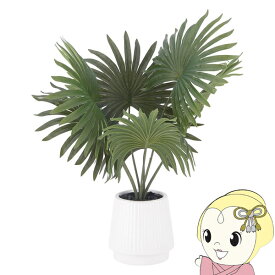 【最大4000円OFFクーポン発行 4/24 20時~4/25 23:59迄】観葉植物 フェイクグリーン パナマソウ おしゃれ セラミックポット【KK9N0D18P】