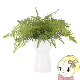 【最大4000円OFFクーポン発行 4/24 20時~4/25 23:59迄】観葉植物 フェイクグリーン シダ おしゃれ セラミックポット【KK9N0D18P】