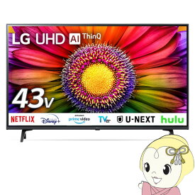 【期間限定クーポン発行 6/4 20時~6/5中迄】液晶テレビ4K液晶テレビ 43V型 LGエレクトロニクス UR8000シリーズ 43UR8000PJB【KK9N0D18P】