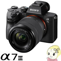 楽天市場】sony a7ii レンズキットの通販