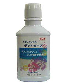 デントセーフ　500ml