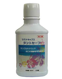 歯周病菌や虫歯菌を殺菌！　デントセーフ　500ml