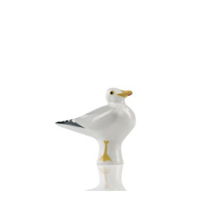 �T���K�f���X �u���L�A�V�Z�O���J���� [Yellow-legged Gull ]