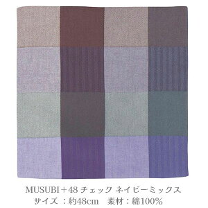 C~ MUSUBI{48 `FbN lCr[~bNX ӂ낵 100 48cm bsO `}bg [