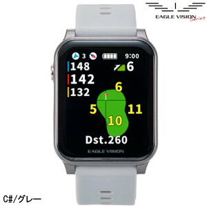�C�[�O���r�W���� EAGLE VISION AX (�A�N���X) �S���t��������� GPS�i�r �����v �݂��т� EV-539