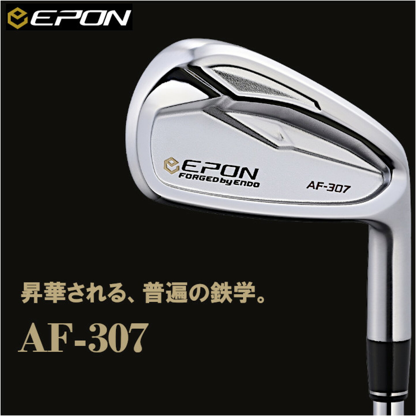 エポンAF-307アイアンダイナミックゴールドMID115 S200