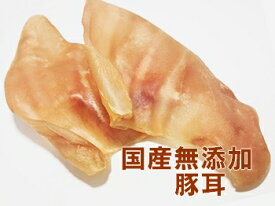 楽天市場 豚 耳 犬 おやつの通販