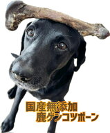 国産無添加　　鹿大腿骨 鹿の骨 　約100g 犬のおやつ　ヒューマングレード　骨のおやつ 犬のおやつ 　鹿…