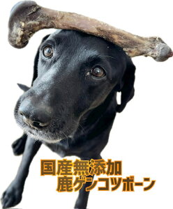 国産無添加  鹿大腿骨 鹿の骨  約100g 犬のおやつ ヒューマングレード 骨のおやつ 犬のおやつ  鹿レッグボーン 鹿の角好きに!低アレルギーおやつ5000円(税抜)以上送料無料!/【RCP