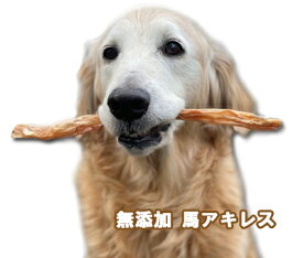お試し 馬アキレス　ロング　1本入り　無添加安心安全国内製造！　犬のおやつ　馬のアキレスメール便可！5000円(税抜)以上送料無料！【RCP】