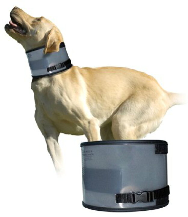 楽天市場 バイトフリーカラー バイトノットカラー エリザベスカラー 大型犬 小型犬 介護用品 5000円 税抜 以上送料無料 Golpara ゴルパラ