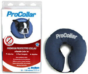 vJ[@XSTCY@iGUxXJ[/[J[j@^@pi@5000~(Ŕ)ȏ㑗II