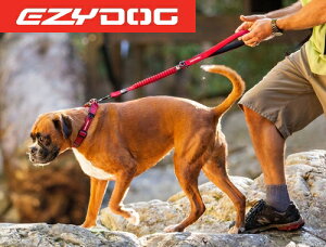 [։I EZYDOG C[W[hbO@[VbN@64cm@[h Lk[h 5000~iŔjȏ㑗yRCPzC[W[hbN