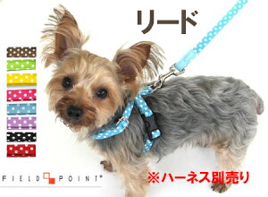 AEgbgiItB[h|Cg ^p@[h ʃhbg SS`M ւn[lXƂ