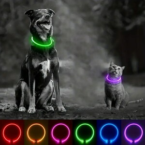 [։Ixg@[d@LEDlbNX@^@^@^@ ֕Ɂ ̂UObY @UCg5000~iŔjȏ㑗yRCPz